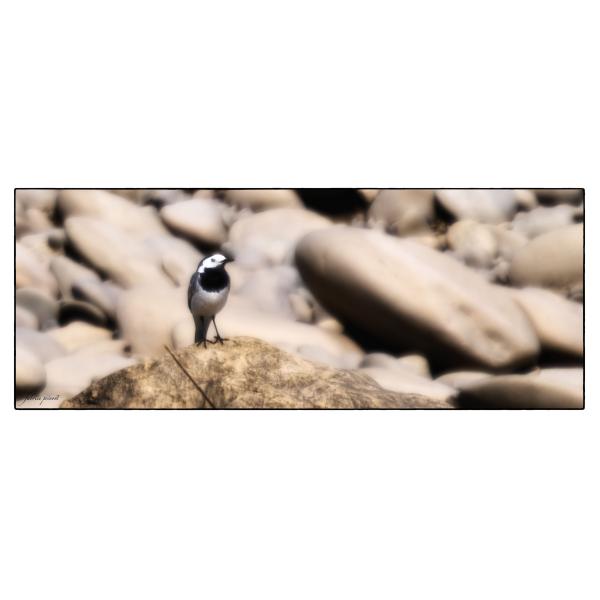 PHOTO84, CLUB, 84 , LUBERON